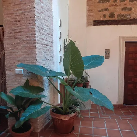 Semesterbostad La Casa Toledana - Patio Y Terraza Con Vistas *