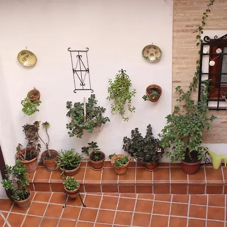 La Casa Toledana - Patio Y Terraza Con Vistas *